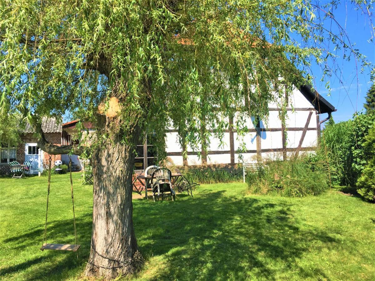Fischerhaus Godewind 60 Qm Altwarp エクステリア 写真